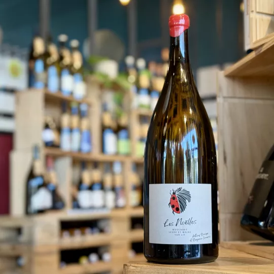 Les Noëlles 2023 Magnum