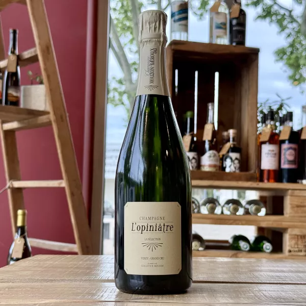 copy of Joshuari 2018