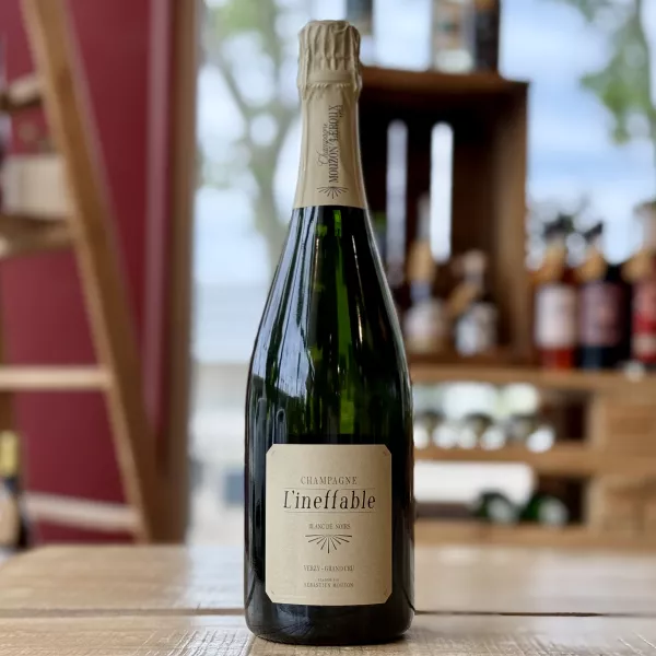 copy of Joshuari 2018